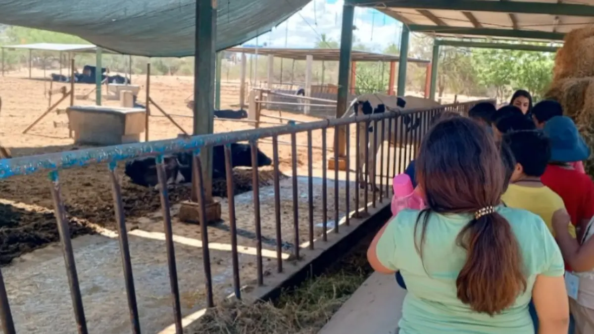 UABCS visitas con animales